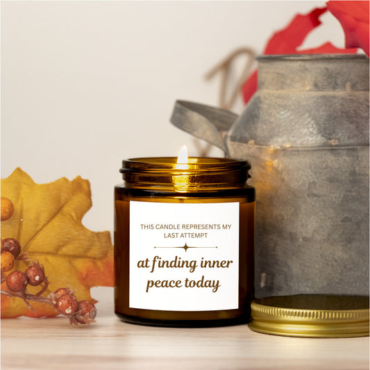 Funny Scented Candle House Warming Gift for New Home Scented Vegan Candle Home Decor Ideas for Mom Home Decor Gift Sarcastic Scented Candle